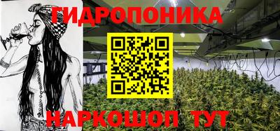 прущие грибы Волгодонск