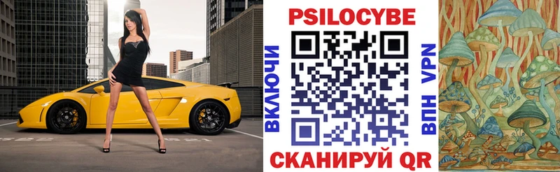 мориарти какой сайт  Благодарный  Галлюциногенные грибы Psilocybe 